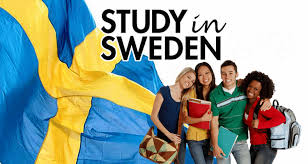 English-taught universities in Sweden